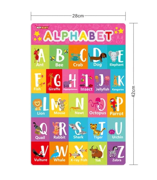 6pc Educational posters